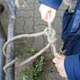 Klick zu groem Bild
