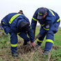 Klick zu groem Bild