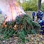 Klick zu groem Bild