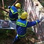 Klick zu groem Bild